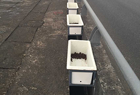 公路、橋梁綠化花盆